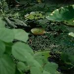 Otel De Jonker Urban