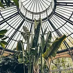 De Jonker Urban Otel 4*