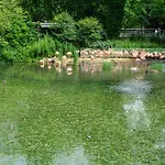 De Jonker Urban 4* Amsterdam