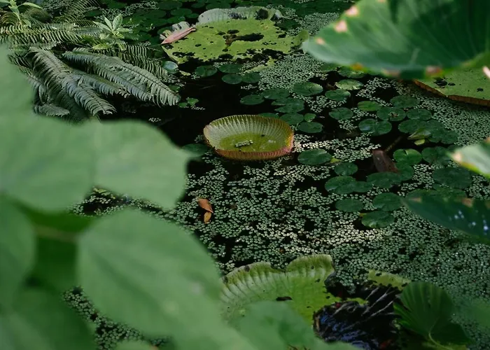 Otel De Jonker Urban