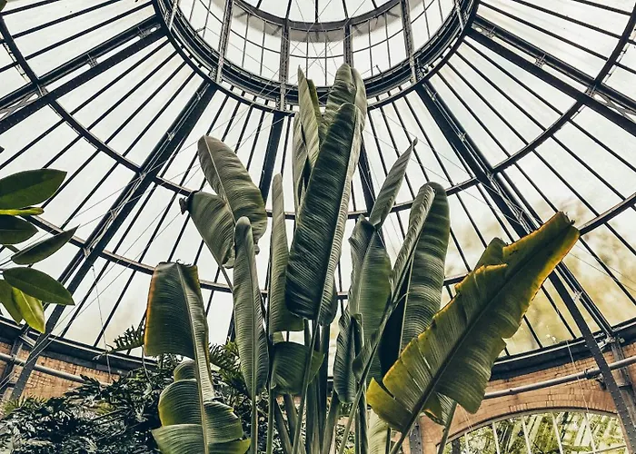 De Jonker Urban Otel 4*