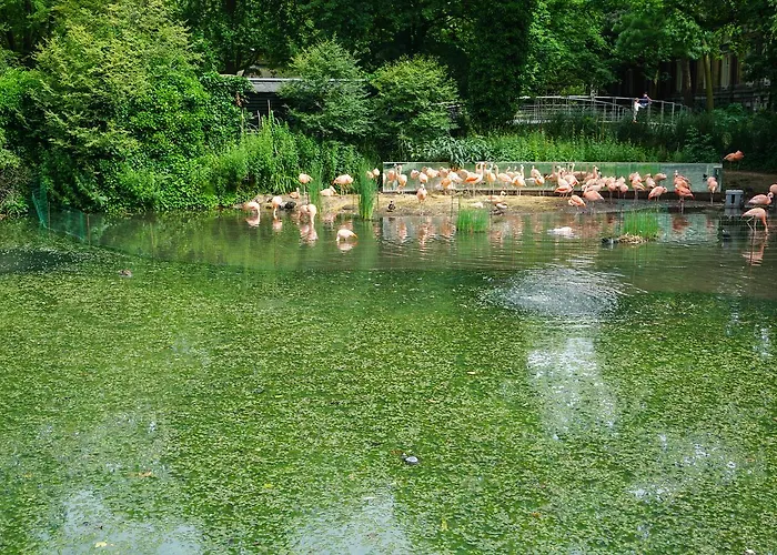 De Jonker Urban 4* Amsterdam