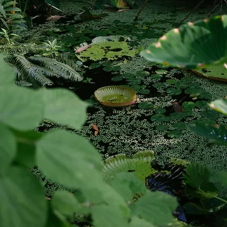 Hotell De Jonker Urban