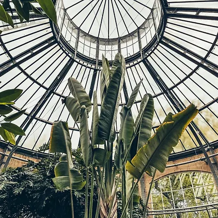 De Jonker Urban Hotell 4*