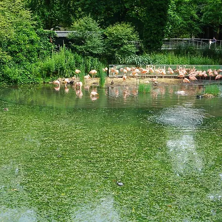 De Jonker Urban 4* Amsterdam